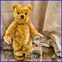 13 Rare Early 1925 Outstanding Chiltern Teddy Bear Full, Long, Gold Mohair