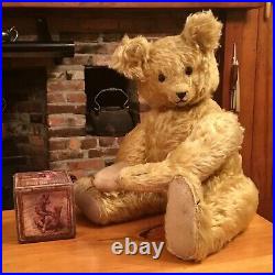 19 RARE EARLY 1920s ANTIQUE FRENCH TOY & NOVELTY CO. TEDDY BEAR