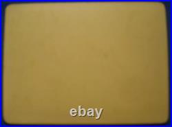 19th Rare Antique Early CDV Photo of Little Pet Dog c. 1889