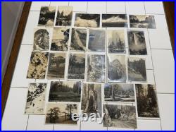 24 Rare Antique Early 1900s Postcards Cards Yosemite & Giant Forest Parks
