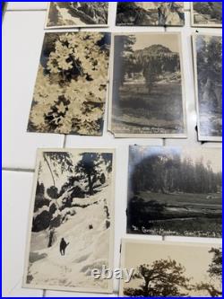 24 Rare Antique Early 1900s Postcards Cards Yosemite & Giant Forest Parks