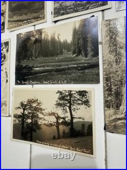 24 Rare Antique Early 1900s Postcards Cards Yosemite & Giant Forest Parks