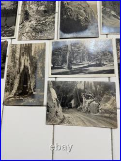 24 Rare Antique Early 1900s Postcards Cards Yosemite & Giant Forest Parks