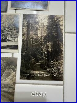 24 Rare Antique Early 1900s Postcards Cards Yosemite & Giant Forest Parks