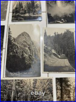 24 Rare Antique Early 1900s Postcards Cards Yosemite & Giant Forest Parks