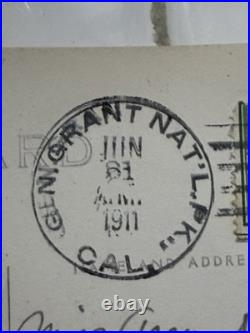 24 Rare Antique Early 1900s Postcards Cards Yosemite & Giant Forest Parks