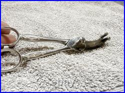 ANTIQUE GERMAN Graef & Schmidt EARLY RARE FLOWER CUTTERS SCISSORS BONSAI