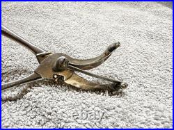 ANTIQUE GERMAN Graef & Schmidt EARLY RARE FLOWER CUTTERS SCISSORS BONSAI