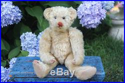 ANTIQUE RARE EARLY AMERICAN HECLA TEDDY BEAR c1906 AN EXCEPTIONAL BEAUTY