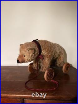 A Glorious Rare Early 20th Century German Mo Hair Bear On Wheels Medium Sized