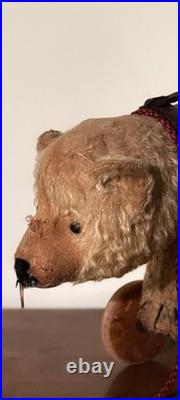 A Glorious Rare Early 20th Century German Mo Hair Bear On Wheels Medium Sized