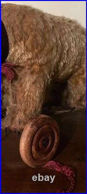 A Glorious Rare Early 20th Century German Mo Hair Bear On Wheels Medium Sized