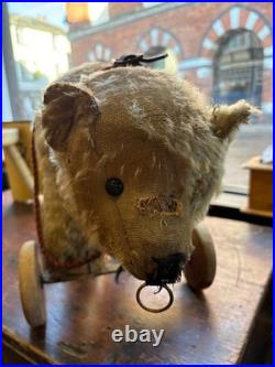 A Glorious Rare Early 20th Century German Mo Hair Bear On Wheels Medium Sized
