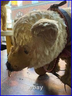A Glorious Rare Early 20th Century German Mo Hair Bear On Wheels Medium Sized