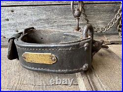 A rare early 19th century leather dog collar & chain Revenue Police, Kent A rare early 19th century leather dog collar & chain Revenue Police, Kent