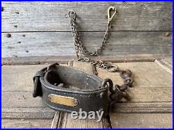 A rare early 19th century leather dog collar & chain Revenue Police, Kent A rare early 19th century leather dog collar & chain Revenue Police, Kent