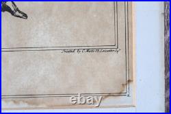Antique Characture John Doyle The Coquet Lithograph Rare 1830 Political Print