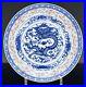 Antique_Chinese_Porcelain_Dragon_Plate_Rare_Butterfly_Mark_Rice_Grain_Early_20th_01_zh
