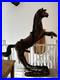 Antique_Early_20th_Century_Large_Rare_Hand_Carved_Asian_Decorative_Wooden_Horse_01_na