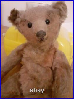 Antique Early Rare Steiff Metal Button Jointed Teddy Bear Called Pepper. 25 cm