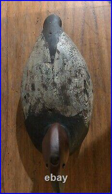 Antique Early Ward Brothers Wood Carved Redhead Drake Duck Decoy Glass Eyes Rare