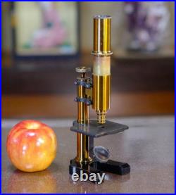 Antique Ernst Leitz Stand V Microscope 1873 Early Rare Wetzlar SN1557 Original