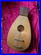 Antique_German_Stossel_7_String_Lute_Rare_Early_1900s_Instrument_01_vfz