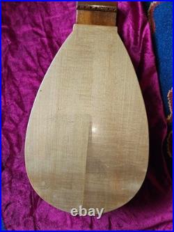 Antique German Stössel 7-String Lute Rare Early 1900s Instrument