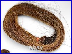 Antique Human Hair Momento Collection Mourning Oddity Rare