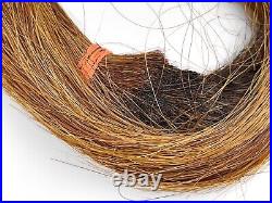 Antique Human Hair Momento Collection Mourning Oddity Rare