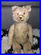 Antique_Large_Rare_1900s_Early_German_TEDDY_BEAR_Jointed_Body_Mohair_17_Schuco_01_gxke