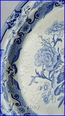 Antique Mason's Blue Pheasants Ironstone Plate 9¾ c1815-25 RARE Early Mark