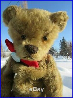 Antique Mohair Teddy Bear Rare Early Ideal Strunz Bing Steiff Bruin Vintage 14