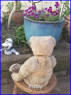 Antique Rare Early Long Limbs Mohair Jointed Teddy Bear Possibly Struntz