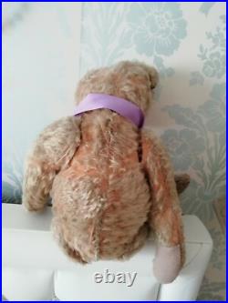Antique Rare Early Long Limbs Mohair Jointed Teddy Bear Possibly Struntz