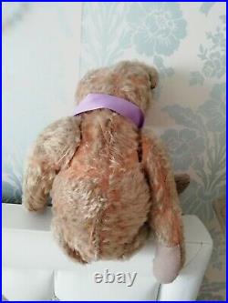 Antique Rare Early Long Limbs Mohair Jointed Teddy Bear Possibly Struntz