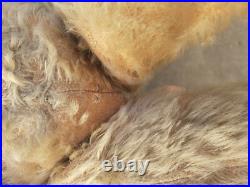 Antique Rare Early Long Limbs Mohair Jointed Teddy Bear Possibly Struntz