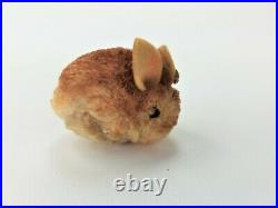 Antique Rare Early Steiff Woolie Easter Bunny Rabbits with Buttons/Tag