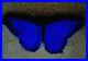 Antique_Rare_Royal_Doulton_Blue_Butterfly_Clip_C1920_4_1_4_01_as