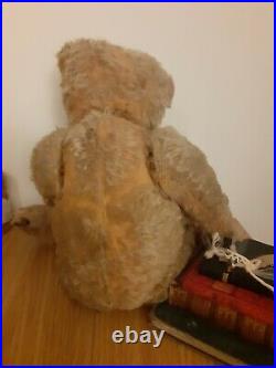 Antique Rare strunz Early jointed Mohair Jointed Teddy Bear german