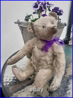 Antique Steiff early 1900s Rare Boot Button Eyes Long Nose German Teddy Bear Antique Steiff early 1900s Rare Boot Button Eyes Long Nose German Teddy Bear