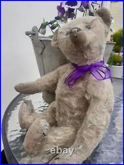 Antique Steiff early 1900s Rare Boot Button Eyes Long Nose German Teddy Bear Antique Steiff early 1900s Rare Boot Button Eyes Long Nose German Teddy Bear