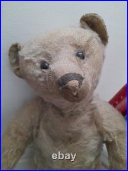 Antique Steiff early 1900s Rare Boot Button Eyes Long Nose German Teddy Bear