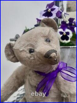 Antique Steiff early 1900s Rare Boot Button Eyes Long Nose German Teddy Bear Antique Steiff early 1900s Rare Boot Button Eyes Long Nose German Teddy Bear