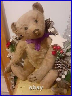 Antique Steiff early 1900s Rare Boot Button Eyes Long Nose German Teddy Bear Antique Steiff early 1900s Rare Boot Button Eyes Long Nose German Teddy Bear