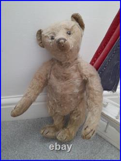 Antique Steiff early 1900s Rare Boot Button Eyes Long Nose German Teddy Bear