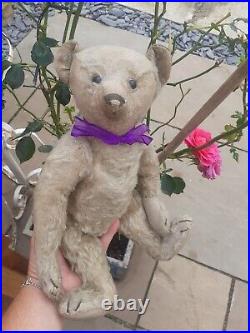 Antique Steiff early 1900s Rare Boot Button Eyes Long Nose German Teddy Bear Antique Steiff early 1900s Rare Boot Button Eyes Long Nose German Teddy Bear