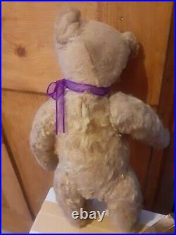 Antique Steiff early 1900s Rare Boot Button Eyes Long Nose German Teddy Bear Antique Steiff early 1900s Rare Boot Button Eyes Long Nose German Teddy Bear
