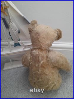 Antique Steiff early 1900s Rare Boot Button Eyes Long Nose German Teddy Bear