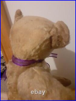Antique Steiff early 1900s Rare Boot Button Eyes Long Nose German Teddy Bear Antique Steiff early 1900s Rare Boot Button Eyes Long Nose German Teddy Bear